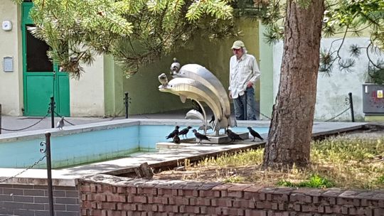 Gdzie jest woda? - pytają ptaki Gdzie jest woda? - pytają ptaki