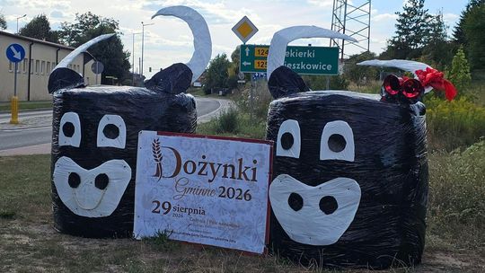 Gdzie na dożynki? Święto Plonów w Cedyni już 29 sierpnia! [ŚCIĄGA: CO, GDZIE, KIEDY]