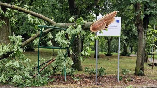 Gdzie są służby odpowiedzialne za utrzymanie porządku i bezpieczeństwo w parku?! - pyta czytelnik