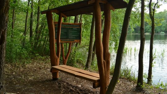 Gdzie szukać strefy wyciszenia