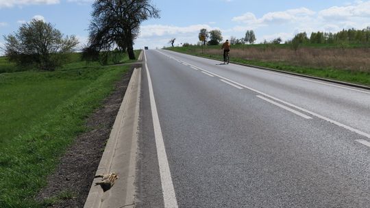 Gdzie zginął prosiaczek?