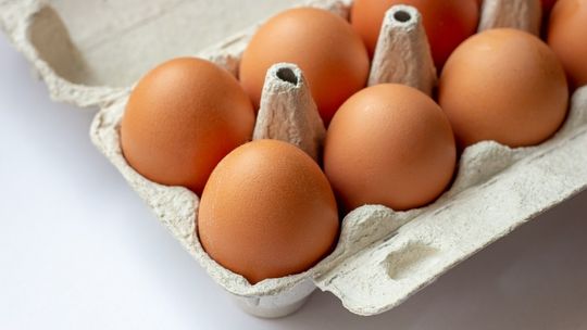 GIS ostrzega: popularne jajka z salmonellą