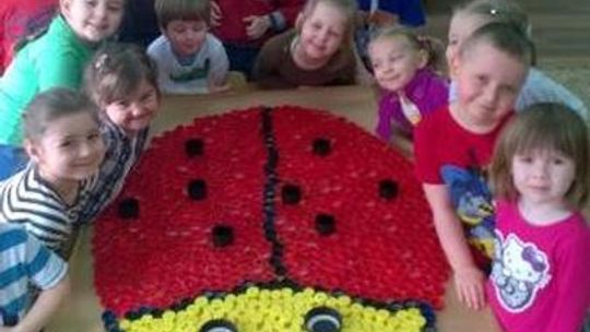 Głosujmy na Biedroneczki