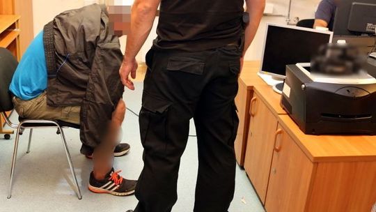 Głupich nie sieją…