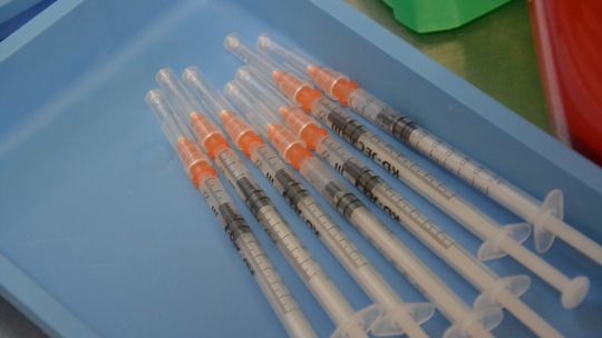 Gmina Cedynia: Rusza rejestracja seniorów na szczepienia i formularz zgłoszeń dla pozostałych osób
