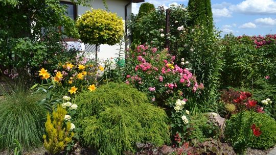 Gmina rozkwitła po raz trzeci