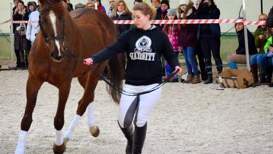 Gorącokrwiste i zimnokrwiste konie w obiektywie Leszka Łozowieckiego