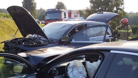 Gorący tydzień strażaków z powiatu gryfińskiego. Plaga pożarów pól, plonów i owadów w natarciu
