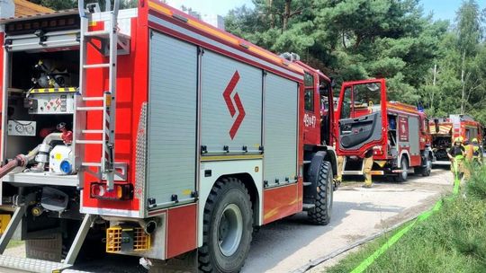 Gorący tydzień w powiecie gryfińskim. Od pożarów pól po akcje poszukiwawcze strażaków