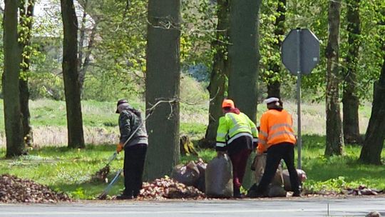 Grabie w dłoń czy „stop”? Ekologiczny dylemat nad Kurzycą