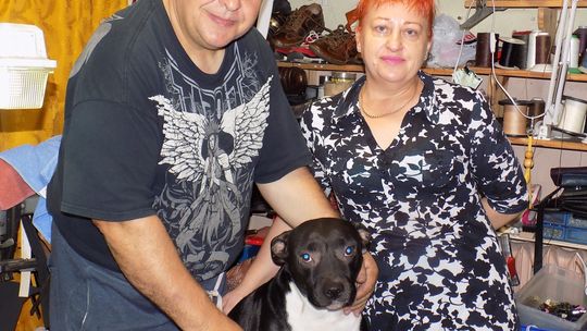 Gratulujemy, Mistrzu Adamie