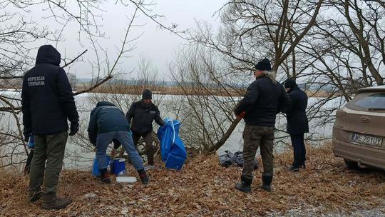 Groźny wirus potwierdzony w powiecie gryfińskim. Służby weterynaryjne apelują o czujność