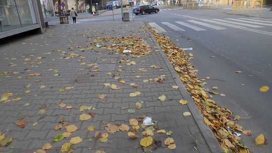 Gryfino czystością nie grzeszy