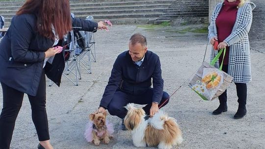 Gryfiński Piknik z Psem trwa. Zapraszamy!