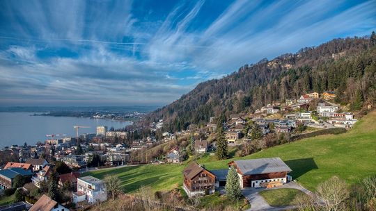 Grzyb na ścianie? Sprawdź, jak skutecznie usunąć pleśń