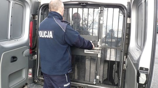 Handlował na targowisku. Aresztowali go za gromadzenie broni