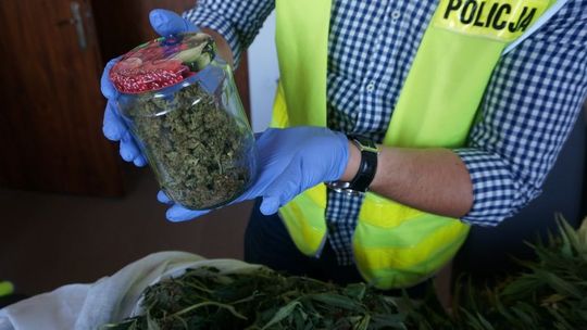 Handlowali narkotykami i uprawiali marihuanę - teraz odpowiedzą przed sądem 