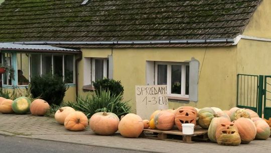 Helloweenowy przydrożny biznes