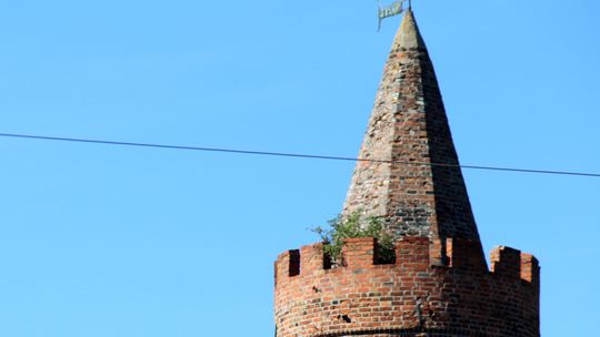 Hodowcy ziela niszczą Bramę Bańską Hodowcy ziela niszczą Bramę Bańską