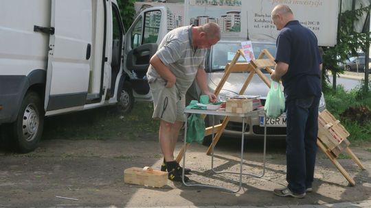 Ile kosztują truskawki i dlaczego tak drogo?