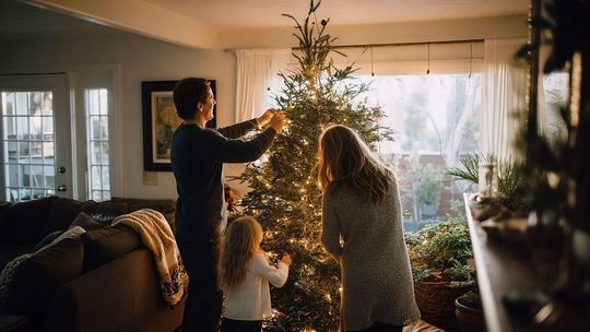 Ile zapłacimy za choinkę na święta w 2025 r.? Pojawiła się oferta cenowa