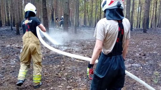 Intensywnie walczyli z pożarami. Aż trudno uwierzyć co się paliło Intensywnie walczyli z pożarami. Aż trudno uwierzyć co się paliło
