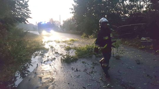 Interwencje strażaków po silnym wietrze