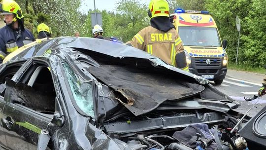 Interwencje straży pożarnej w powiecie gryfińskim. Od pożarów traw po ratowanie zwierząt w rynnach