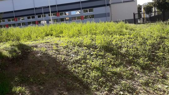 Jak można było tak to zostawić? Toż to wstyd dla gospodarza - krytykuje bałagan wokół hali