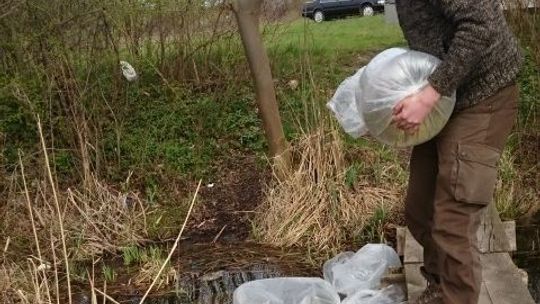 Jak oni to robią w jeziorze