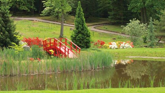 Jak przygotować ogród na zimę?