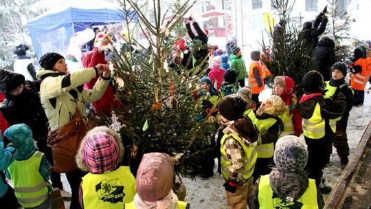 Jak spędzić święta ekologicznie 