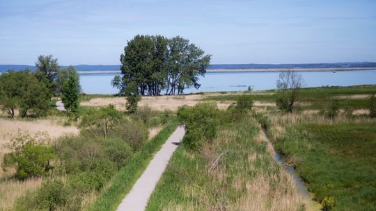 Jak z Gryfina podłączyć się do pętli wokół Zalewu Szczecińskiego Jak z Gryfina podłączyć się do pętli wokół Zalewu Szczecińskiego