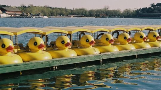 Jakie są najlepsze atrakcje w hotelu nad jeziorem?