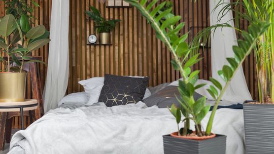 Jakie są zalety korzystania z hotelu zero waste i ekologicznego?