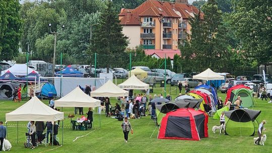 Jamniki pobiegną na czas. Krajowa Wystawa Psów Myśliwskich w Gryfinie