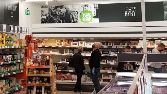 Jaskółka wpadła do sklepu, ale nie po zakupy