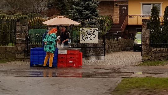 Jednak karp na stole. Stoiska w różnych miejscach naszego powiatu