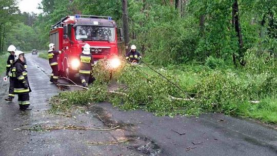 Jednego dnia dziewiętnaście zdarzeń