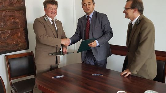 Jedno dziecko – jedno drzewko w gminie