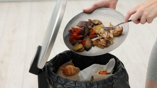 Jedzenie ląduje w koszu. Bo problem zaczyna się niestety w domu