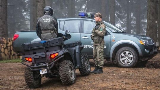 Uważaj na grzybach, w lasach ruszyły kontrole. Fotopułapki i mandaty dla niesfornych kierowców