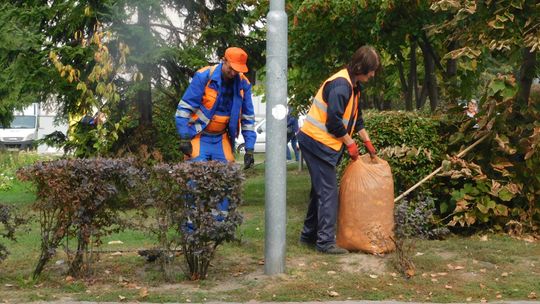 Jesienne porządki w Gryfinie