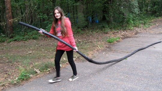 Jesienne sprzątanie