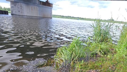 Jestem zaniepokojony brakiem żywych ryb i ślimaków w rzece Jestem zaniepokojony brakiem żywych ryb i ślimaków w rzece