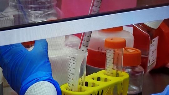 Jesteśmy po szczycie zakażeń trzeciej fali. Sobotnie dane