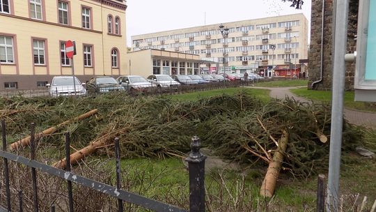  Jeszcze wiosny nie widać,  ale...