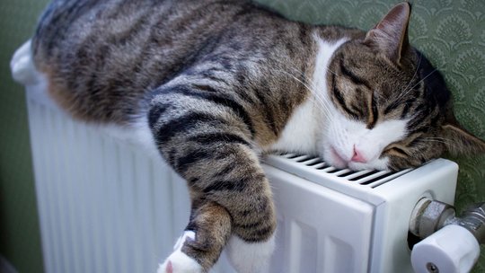 Właśnie można już składać wnioski o bon ciepłowniczy. Co trzeba dołączyć do wniosku?