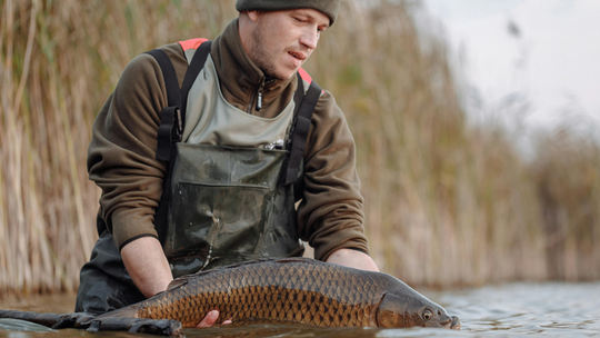 Na święta już nie kupujemy karpia. Na wigilijnym stole pojawiają się inne ryby