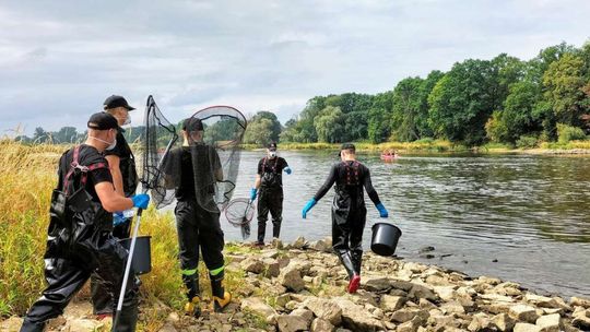 Katastrofa na Odrze. Wędkarze szukają detektywa, przedsiębiorcy załamują ręce